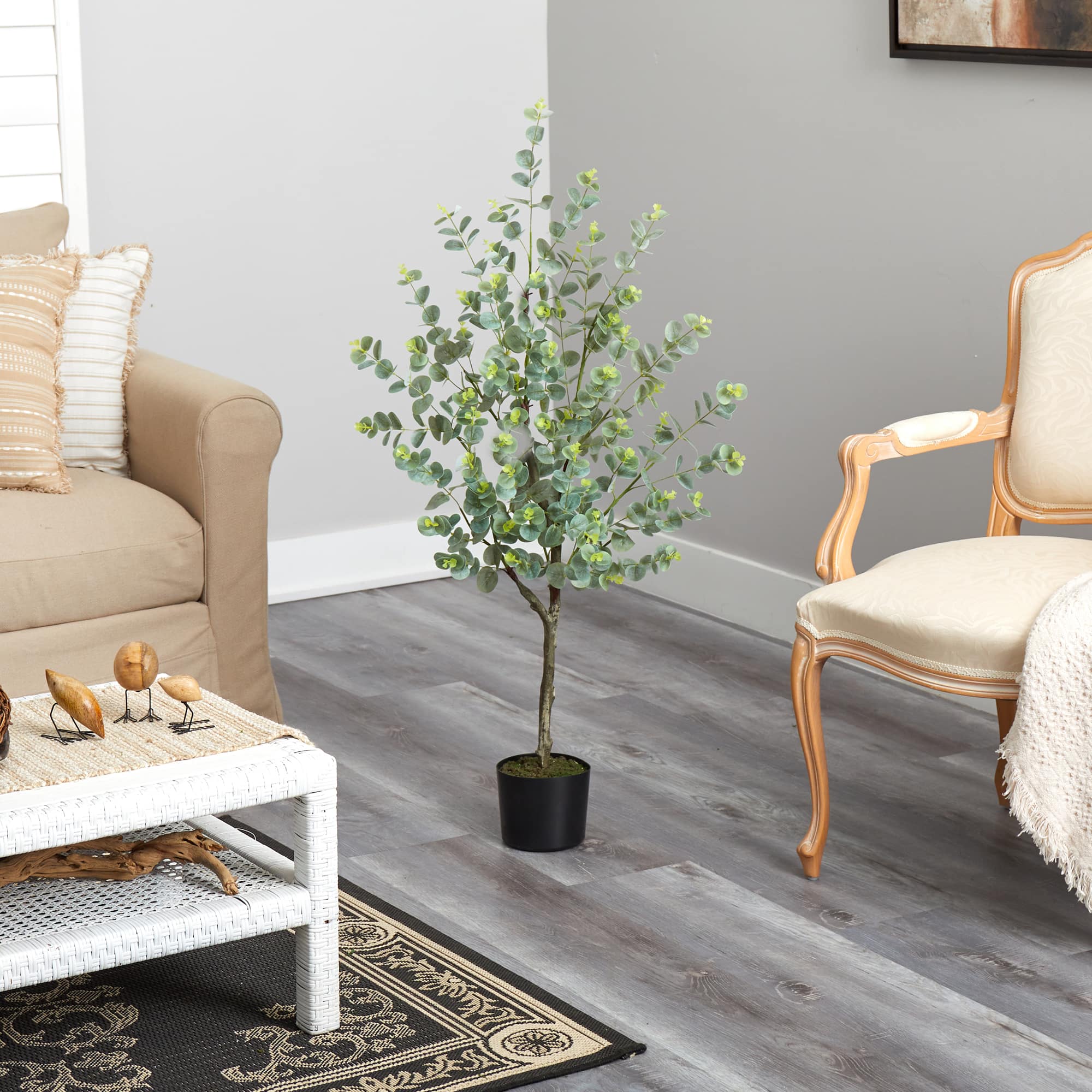 4ft. Potted Eucalyptus Tree